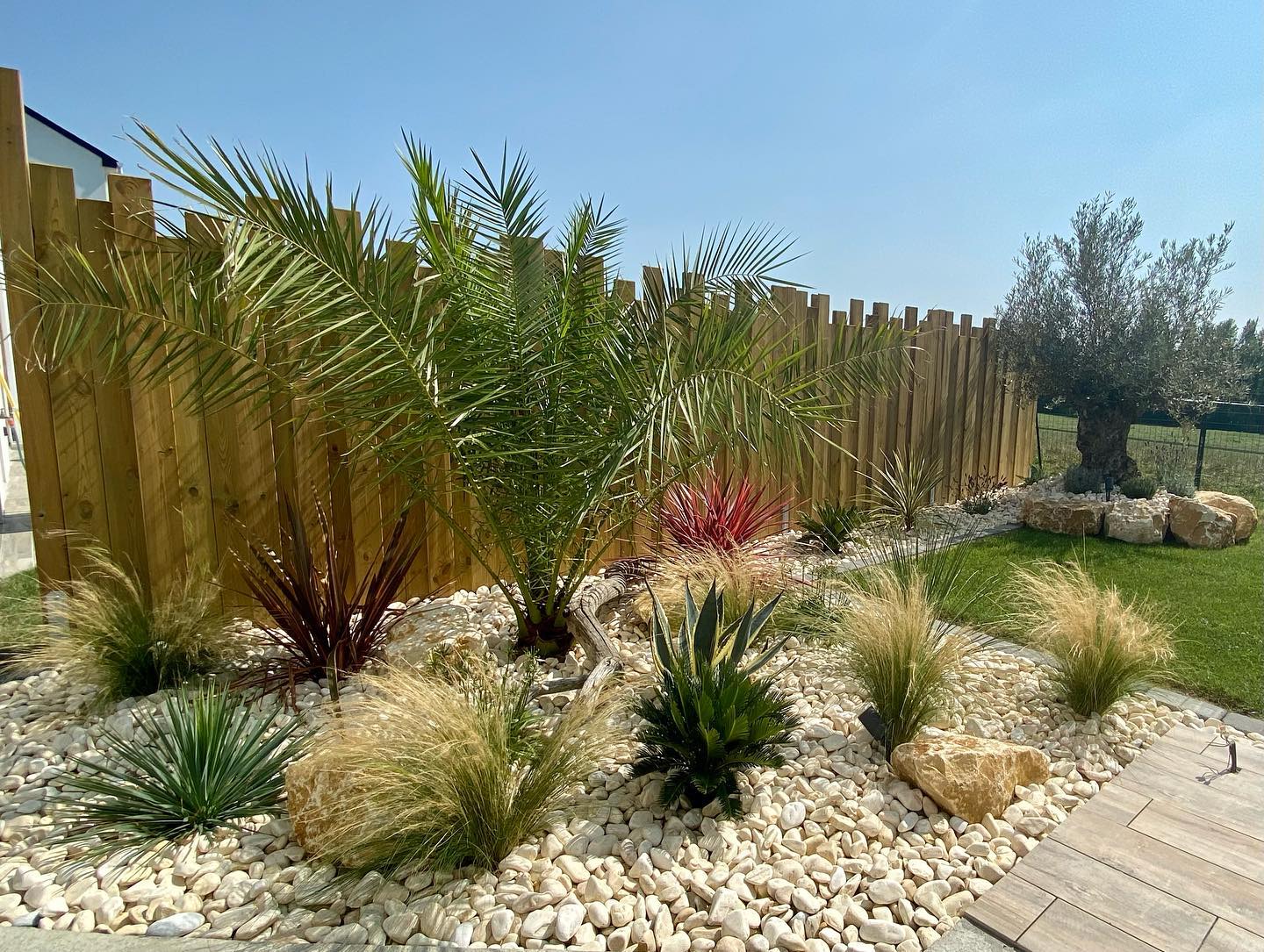 Plantation & massifs : embellissez vos exterieurs - Jardin de l'Ouest